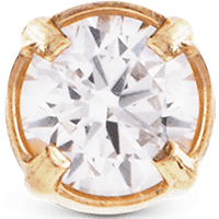 Daniel Wellington DW Earrings Micro 2,5mm Gold