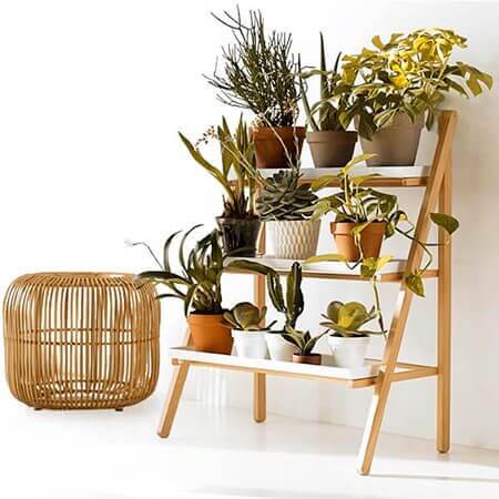 Estante de madeira com vasos de plantas diversas para decoração casa e jardim moderna e elegante