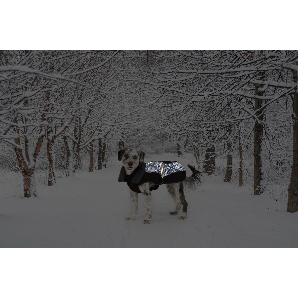 V4H512E60A16CF84D935DFACD5C2A2724A1R5332394P2