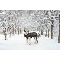 V4H55B00D61FA261EE622B1A2F7EE9BAC94R5332500P8