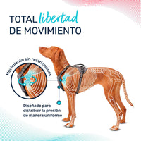 V4HFF59CBC7CEED737499DAE83210C25B93R5328501P6