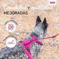 V5HC1D4591C1961D7E6AD9E3E867F3BC122R5328628P6