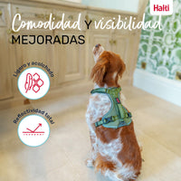 V4HB019E300221CCF6444B3DA6B48B1DC46R5328508P5
