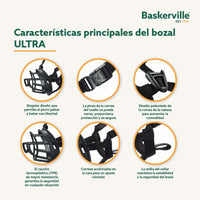 V4H5CBE8007A8243DA40B2D7D058EF3A0C9R5327510P2