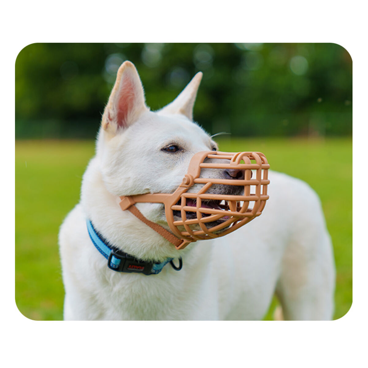 V5H1CAE426BC423AD88378E5DA7D4C99615R5327590P3