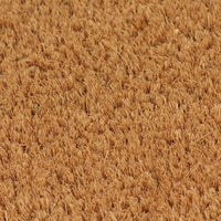 vidaXL Tapetes de porta em fibra de coco 2 pcs 24 mm 40x60 cm natural