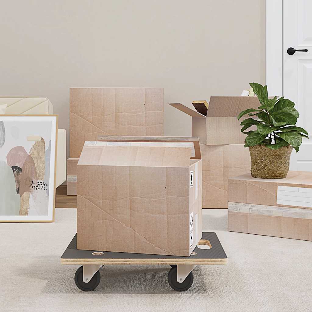 vidaXL Carrinhos de transporte 2 pcs retangular 50x35x11,5 cm 250 kg