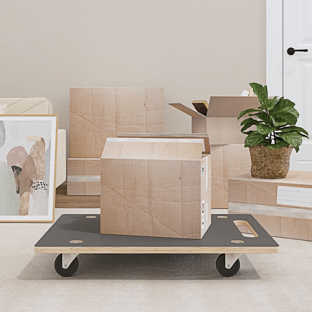 vidaXL Carrinhos de transporte 2 pcs retangular 50x35x11,5 cm 250 kg