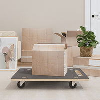 vidaXL Carrinhos de transporte 2 pcs retangular 50x35x11,5 cm 250 kg