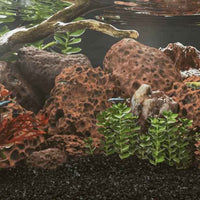 vidaXL Pedras vulcânicas 10 kg 5-8 mm vermelho