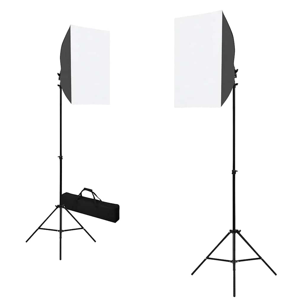 vidaXL Iluminação de estúdio profissional 2 pcs 40x60 cm aço preto