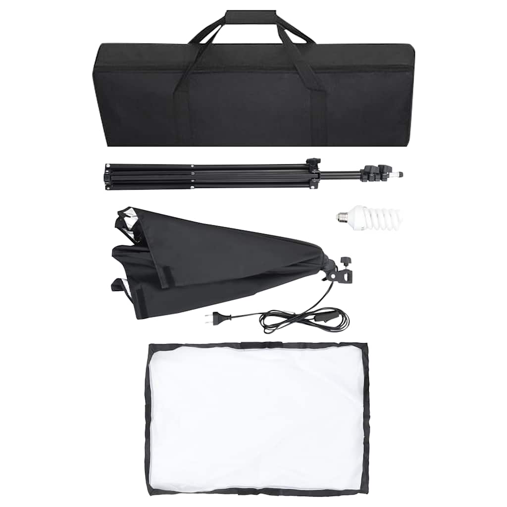 vidaXL Iluminação de estúdio profissional 2 pcs 40x60 cm aço preto