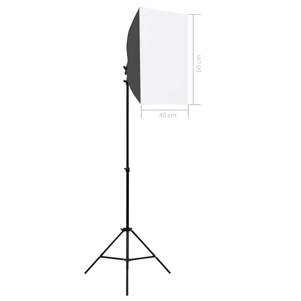 vidaXL Iluminação de estúdio profissional 2 pcs 40x60 cm aço preto