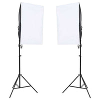 vidaXL Iluminação de estúdio profissional 2 pcs 40x60 cm aço preto