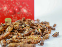 GRILOS COM TOMATE E OREGÃOS