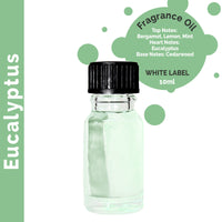 10 ml Eucalyptus Fragrance Oil - UNLABELLED