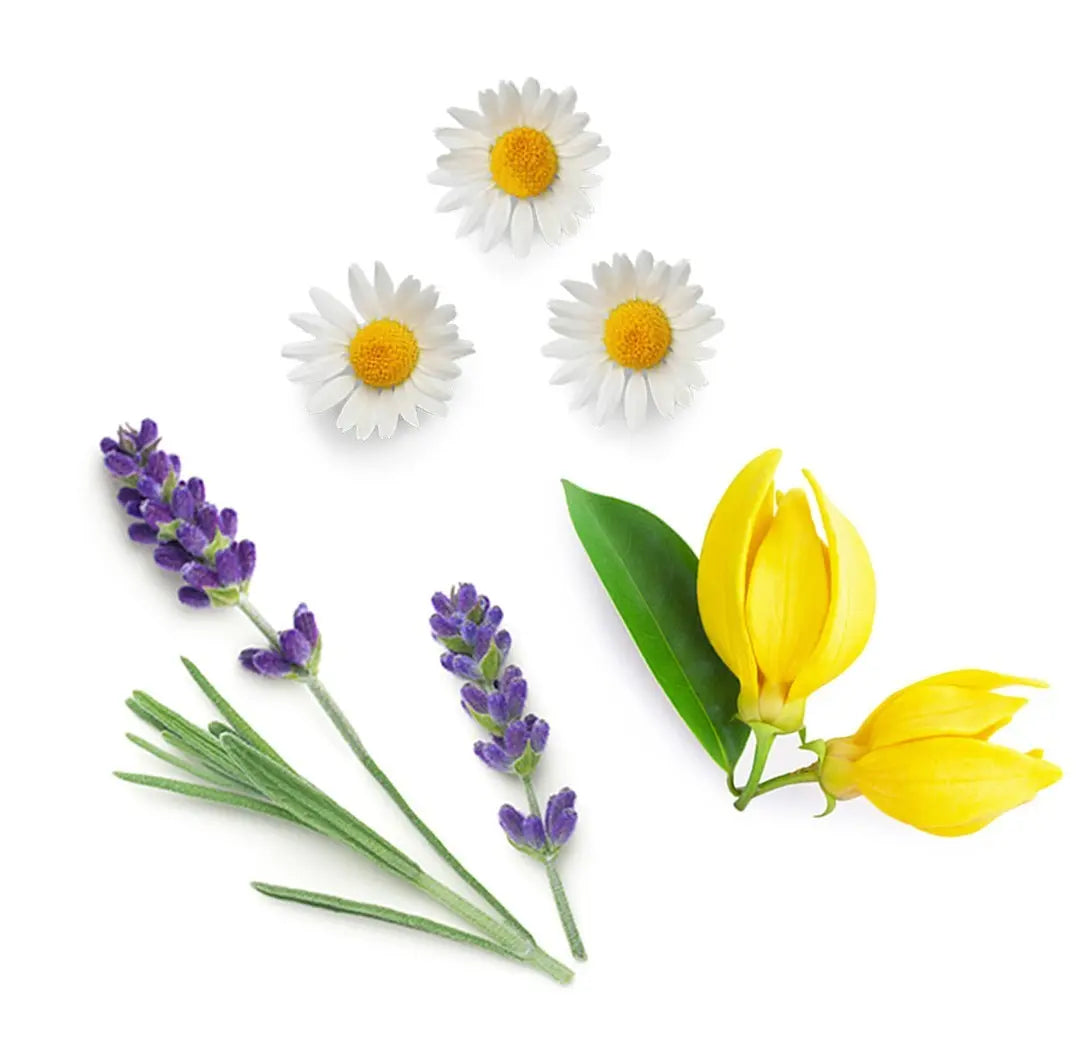 Blend calmante Serenity doTERRA - 15 ml