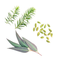 Blend respiratório Air doTERRA - 15 ml
