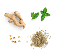 Blend regulador ZenGest doTERRA - 15 ml