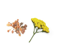 Blend de enraizamento Balance doTERRA