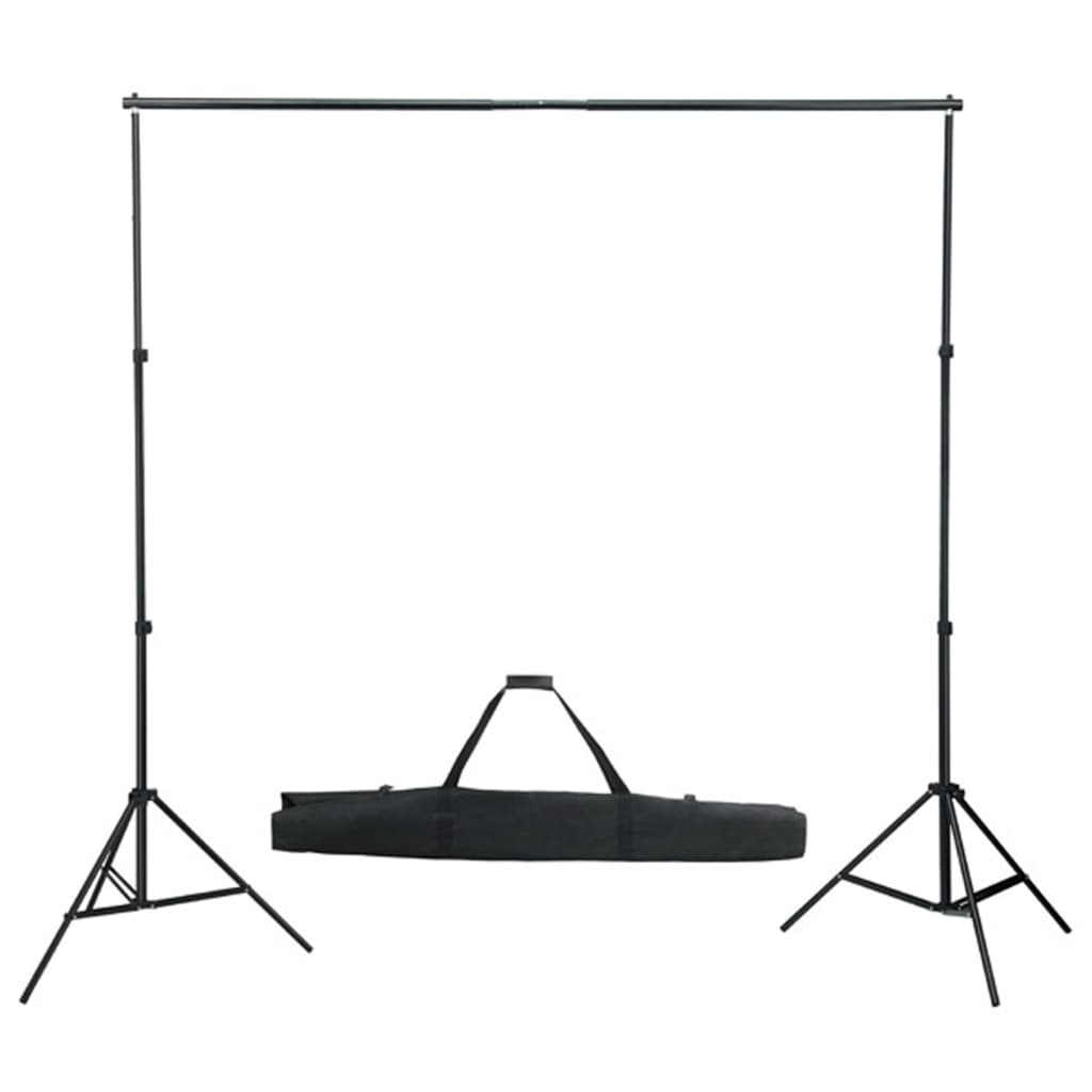vidaXL Kit de estúdio fotográfico com softbox de iluminação e fundo