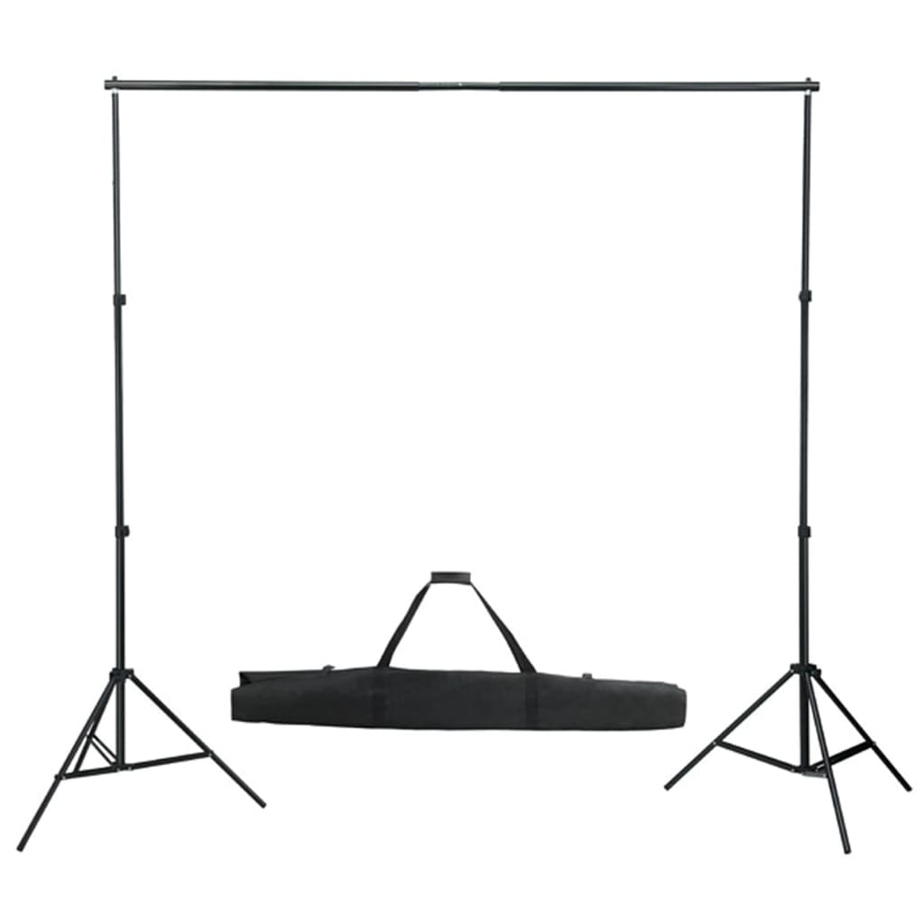 vidaXL Kit de estúdio fotográfico com lâmpadas/fundo/refletor