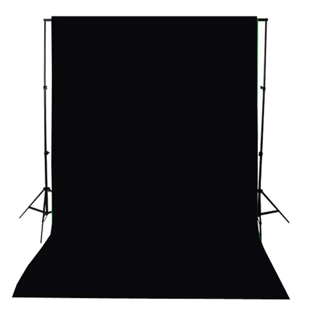 vidaXL Kit de estúdio fotográfico com lâmpadas/fundo/refletor