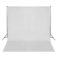 vidaXL Kit de estúdio fotográfico com lâmpadas/fundo/refletor