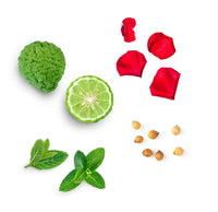 Blend de alinhamento Align doTERRA - 5 ml