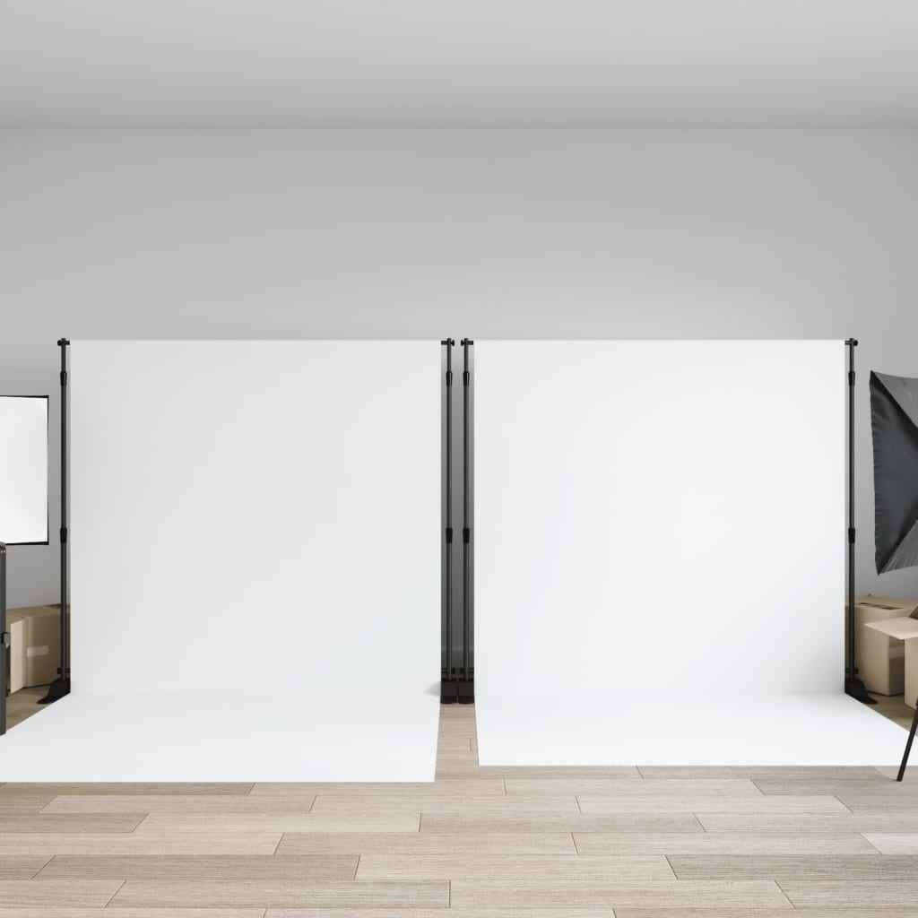 vidaXL Suporte para fundo fotográfico 254x243 cm aço preto