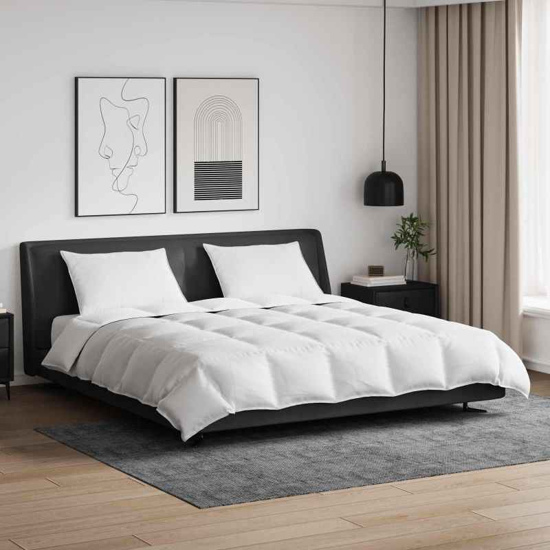 vidaXL Conjunto de Edredom com travesseiro 3 pcs Branco Pena de ganso