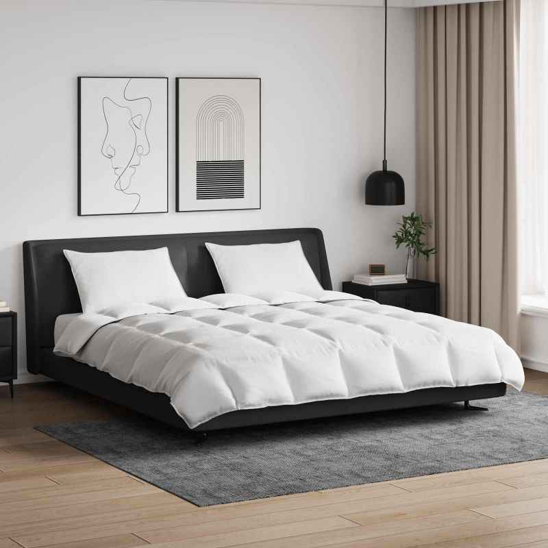 vidaXL Conjunto de Edredom com travesseiro 3 pcs Branco Pena de ganso