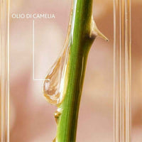 Sérum Facial Institut Esthederm EXCELLAGE 30 ml