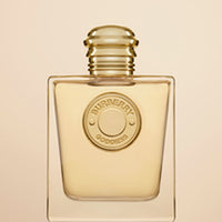 V6H5630E78E4AA5DFDA48585A0EDF90AFE9R5318355P9