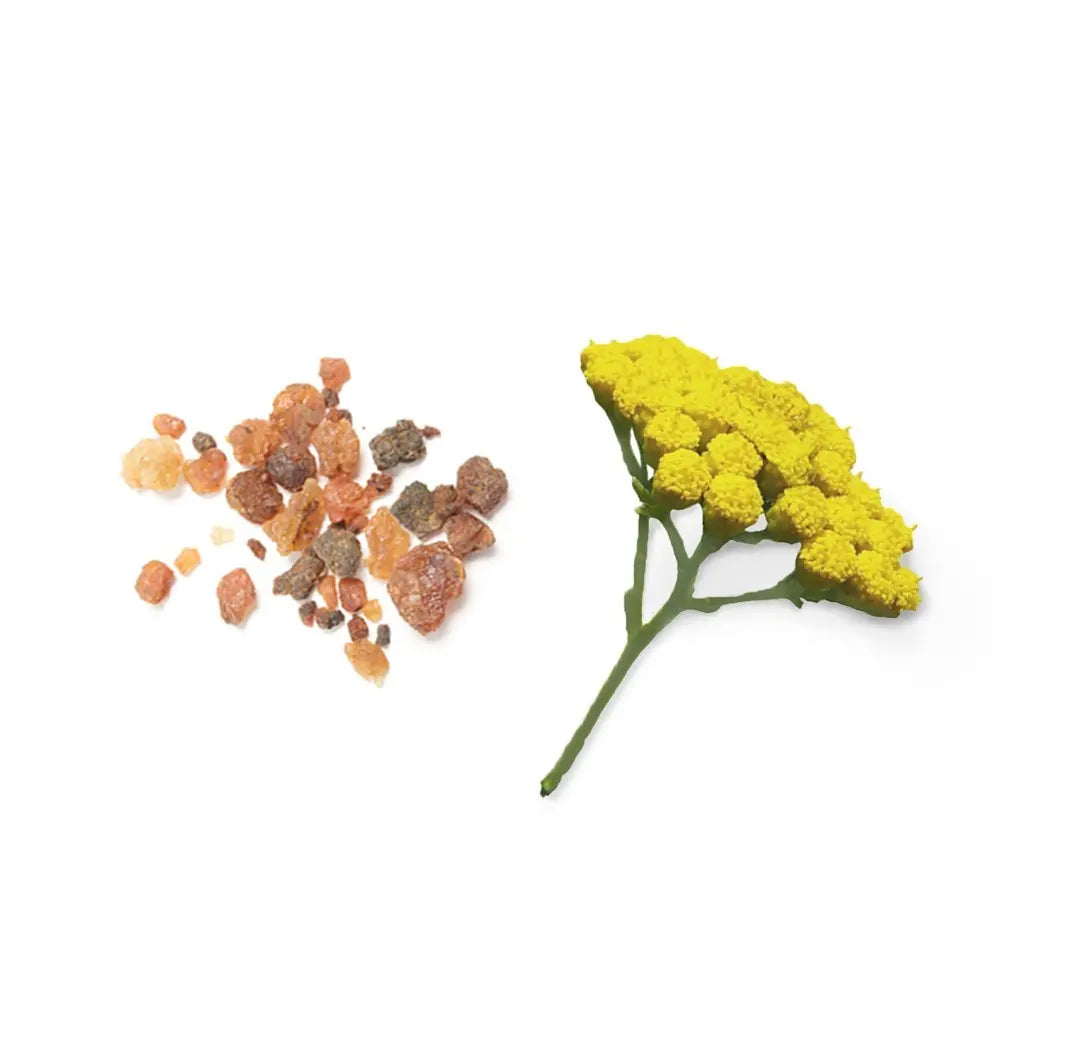 Blend de enraizamento Balance doTERRA Roll-on - 10 ml