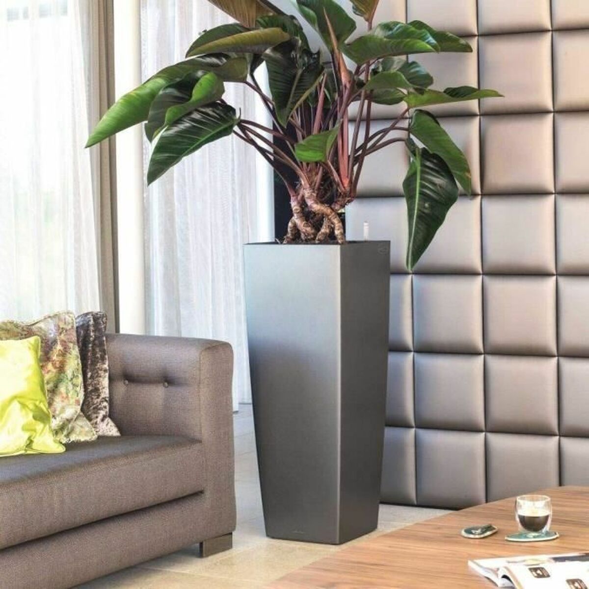 V4H3E88F5EF0AD0172C27F560199D84D344R4284520P4