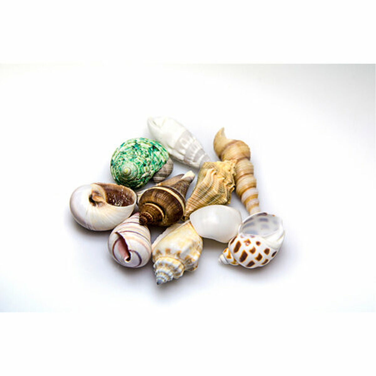 V7H07D9D7E9B25BD56DB3FE0A1EAF6ED6ECR7450831P2