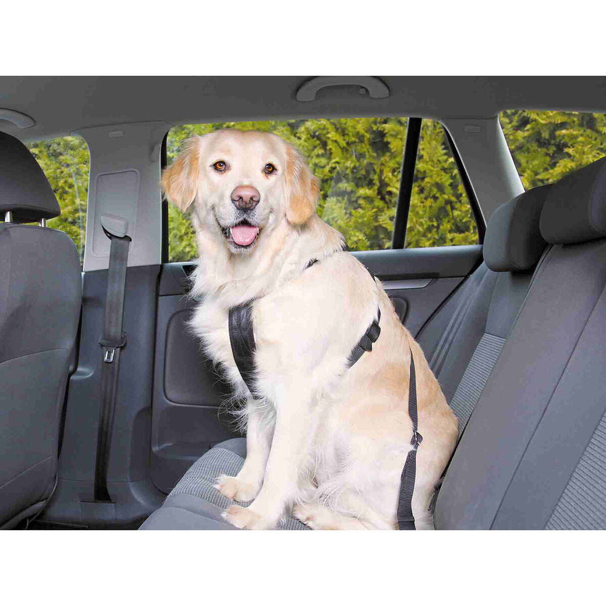 V5HB9D099D7806A006D432D60CEA2990BEBR7448123P3