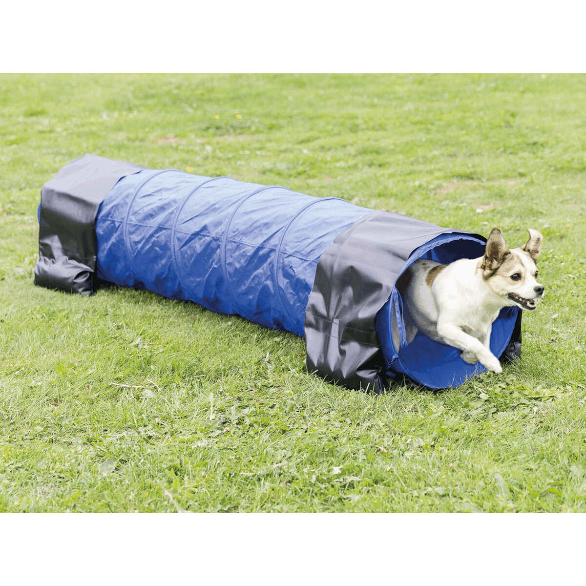 V7H41E2E5510CDA79DC801F76E955DFA152R7439844P2