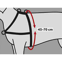 V6HDD7AB7C69E423EC9A6F295B3D8969F72R7441863P2