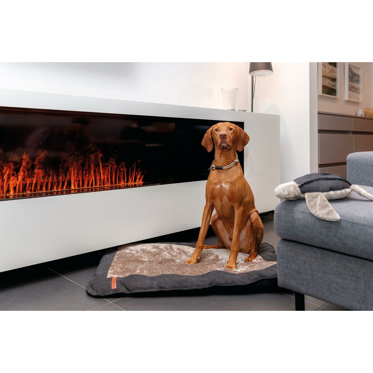 V6H64874D4D2DBABA2C823321AC2A590E51R5330509P4