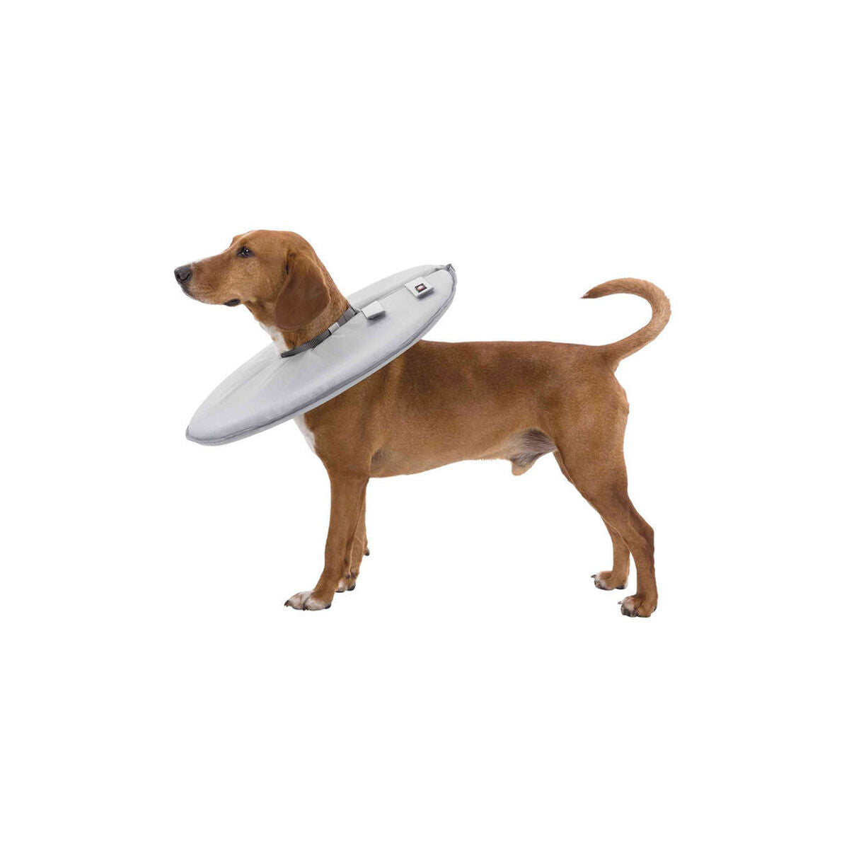 V6HED1926A6889BD4B17561C84B63C50D90R7440169P7