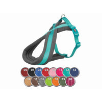 V6HAF1FD44001969FFE299CE501AD749CFCR7449607P3