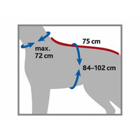 V5HB44CA669CA8C398EAD5AAA5E41071781R7452152P8