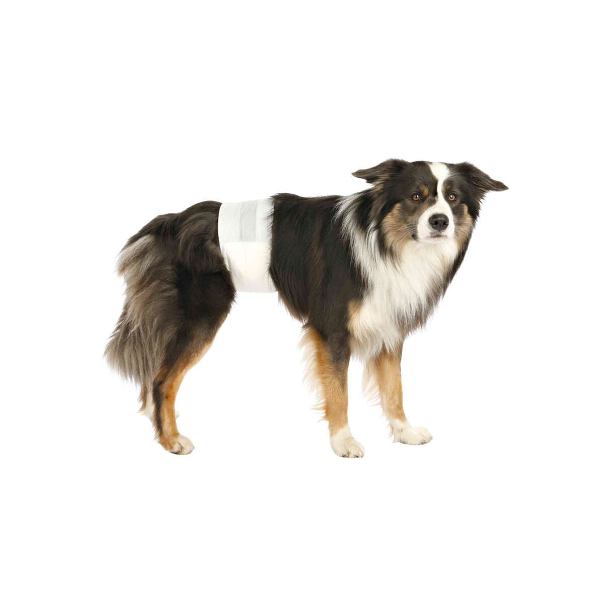 V6H9E627222A9B43D389B12F2E234B31987R7444596P3