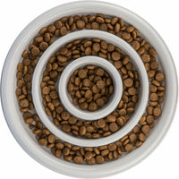 V8H3D449687D94F520C471C84C318623154R7455075P6