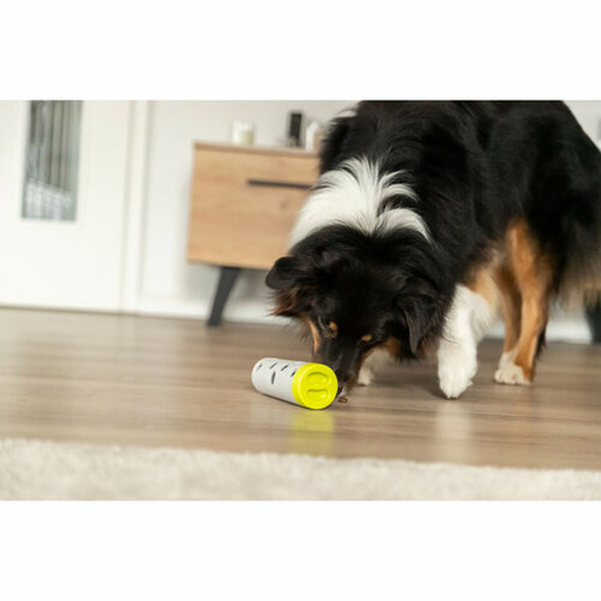 V6H06E3B47427C0FD6CCF0A930D9F9EDF61R7442895P6