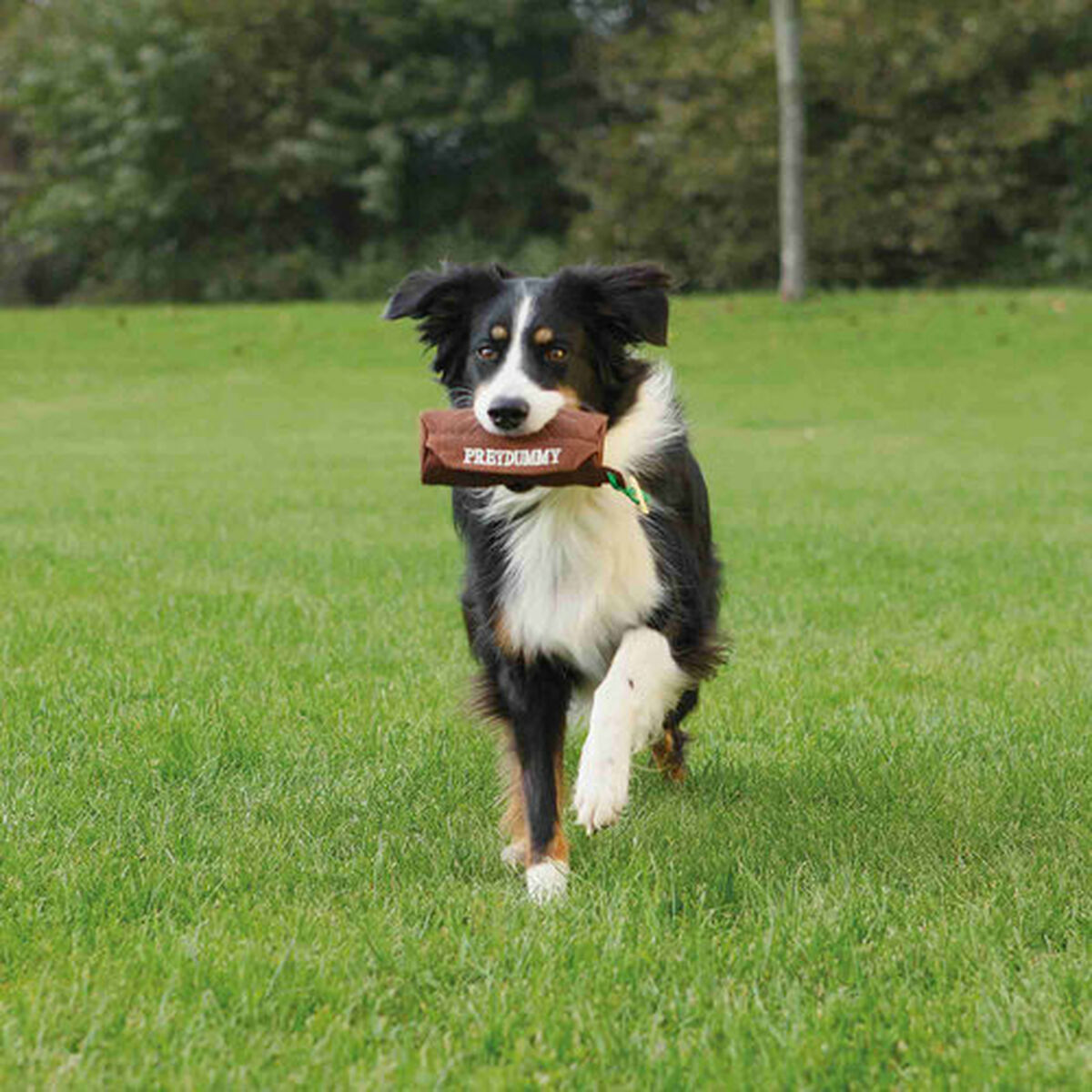 V7H1E9DABF7CF7218BCA076D7E04B01BBA8R7441141P4