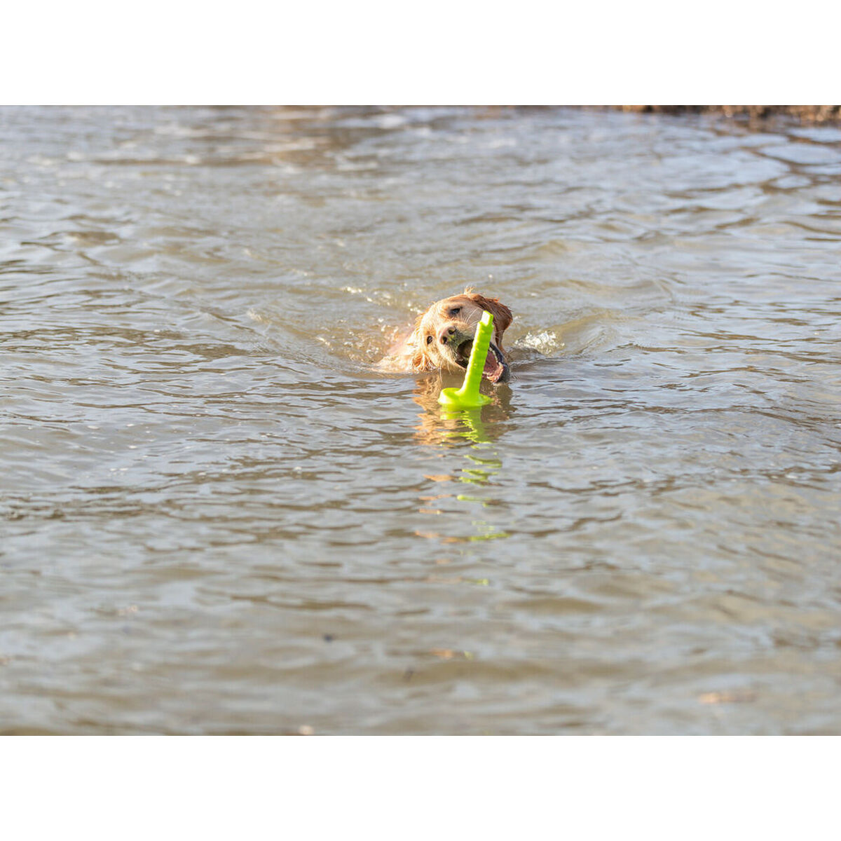 V7HD461802D8E9D4B9F6737655109C2538FR7443182P5