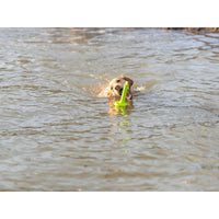 V7HD461802D8E9D4B9F6737655109C2538FR7443182P5